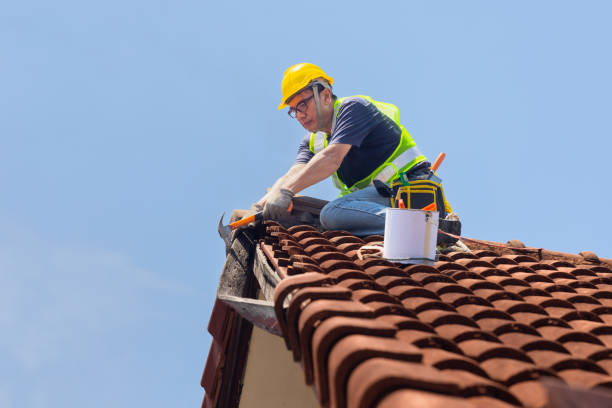 Fast & Reliable Emergency Roof Repairs in Edinburg, IL